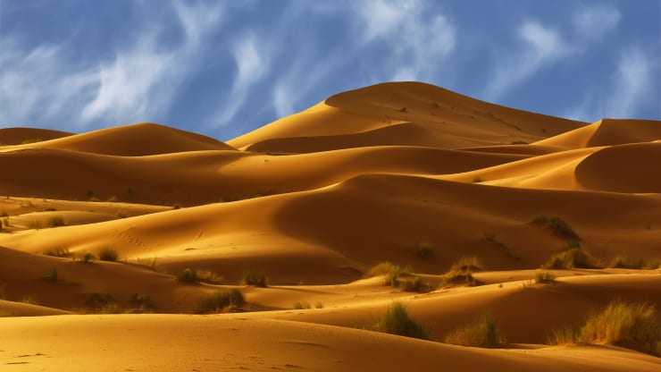 Why travelers are burying themselves in the searing sands of the Sahara Desert